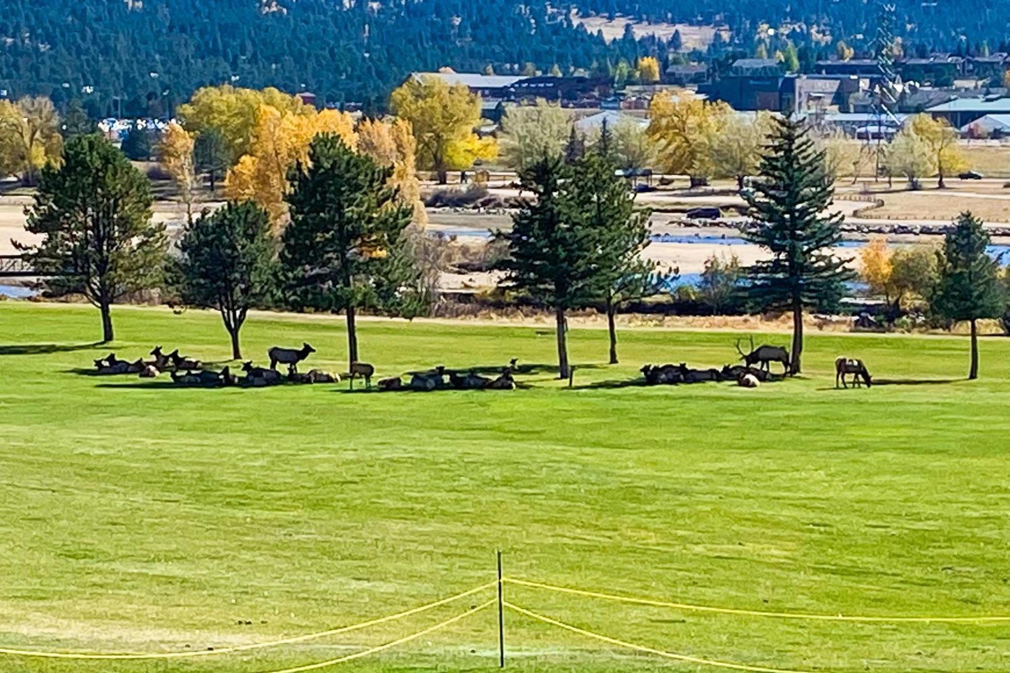 Fairways & 14Ers Villa Estes Park Exterior photo